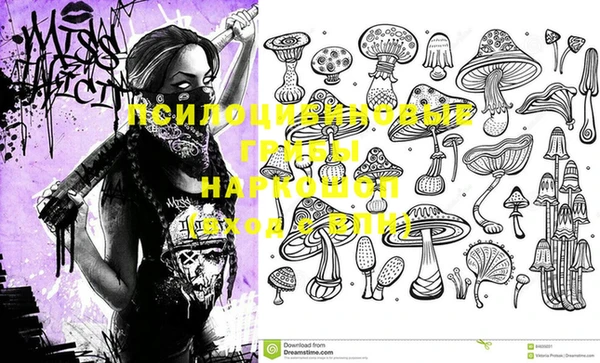 эйфоретик Алзамай