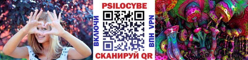 где найти наркотики  мега сайт  Псилоцибиновые грибы Cubensis  Пласт 